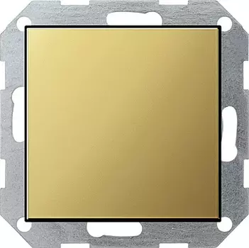 0268604 Заглушка с опорной платой Латунь Gira