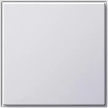 026866 Заглушка с опорной платой Белый Gira TX44