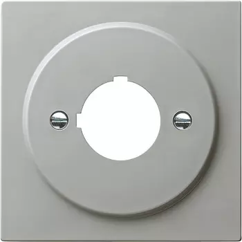 027242 Накладка с опорной пластиной для крепления командный и сообщающих устройств 22,5 мм Серый Gira S-color