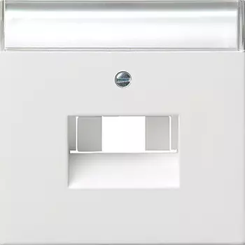 0284112 Накладка 50*50 мм для розеток UAE/IAE с полем для надписи Белый Gira F100