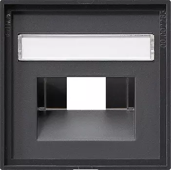 028428 Накладка 50*50 мм для розеток UAE/IAE с полем для надписи Антрацит Gira