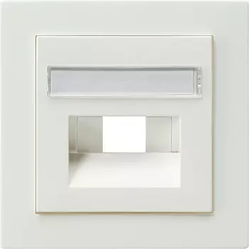 028440 Накладка 50*50 мм для розеток UAE/IAE с полем для надписи Белый Gira S-color