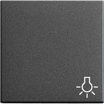 028528 Клавиша с символом "свет" Антрацит Gira
