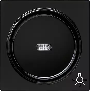 028547 Клавиша с символом "свет" Черный Gira S-color