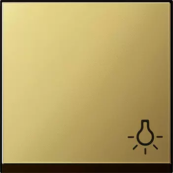 0285604 Клавиша с символом "свет" Латунь Gira