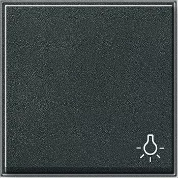 028567 Клавиша с символом "свет" Антрацит Gira TX44
