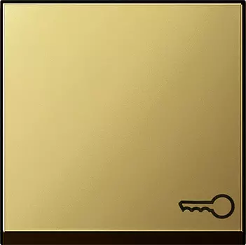 0287604 Клавиша с символом "ключ" Латунь Gira