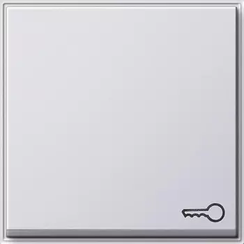 028766 Клавиша с символом "ключ" Белый Gira TX44