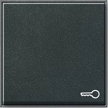 028767 Клавиша с символом "ключ" Антрацит Gira TX44