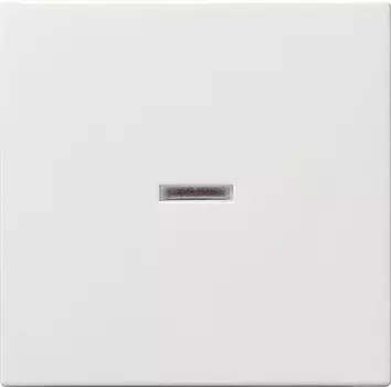 029003 Клавиша с подсветкой Белый Gira