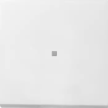 0290112 Клавиша с подсветкой Белый Gira F100