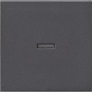 029028 Клавиша с подсветкой Антрацит Gira