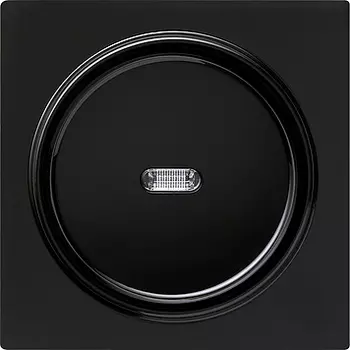 029047 Клавиша с подсветкой Черный Gira S-color