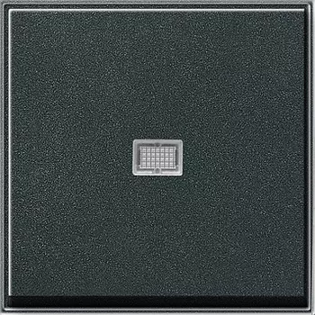 029067 Клавиша с подсветкой Антрацит Gira TX44
