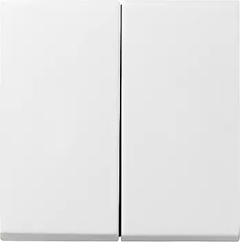 029503 Клавиша двойная Белый Gira