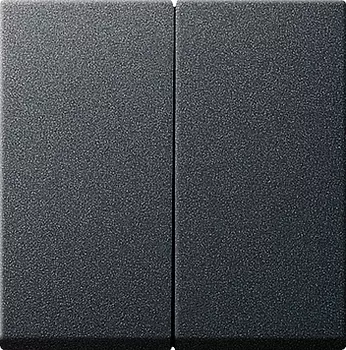 029528 Клавиша двойная Антрацит Gira