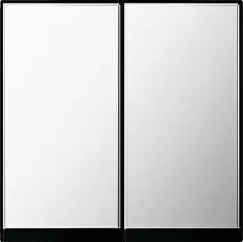 0295605 Клавиша двойная Хром Gira