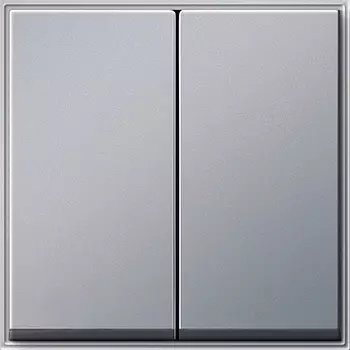 029565 Клавиша двойная Алюминий Gira TX44