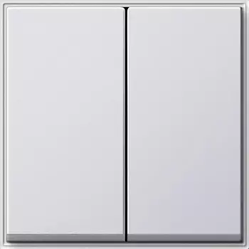 029566 Клавиша двойная Белый Gira TX44