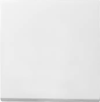 029627 Клавиша одинарная Белый Gira