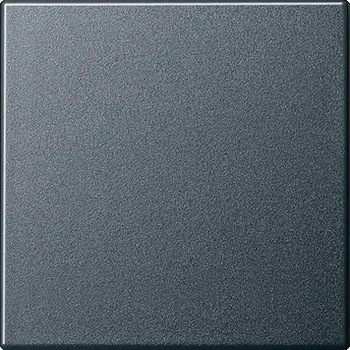 029628 Клавиша одинарная Антрацит Gira