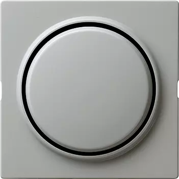 029642 Клавиша одинарная Серый Gira S-color