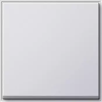 029666 Клавиша одинарная Белый Gira TX44