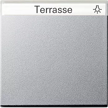 029926 Одинарная клавиша с полем для надписи Алюминий Gira