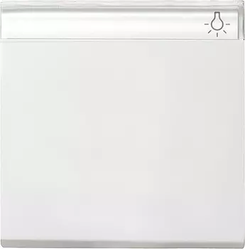 029927 Одинарная клавиша с полем для надписи белый матовый Белый Gira