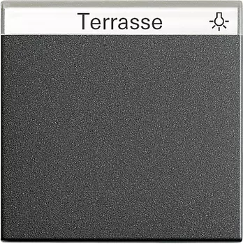 029928 Одинарная клавиша с полем для надписи Антрацит Gira