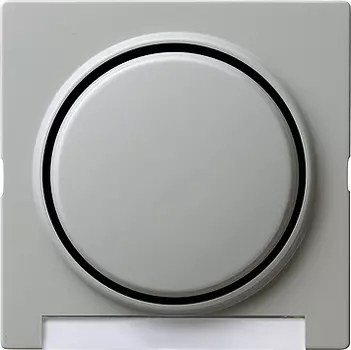 029942 Одинарная клавиша с полем для надписи Серый Gira S-color