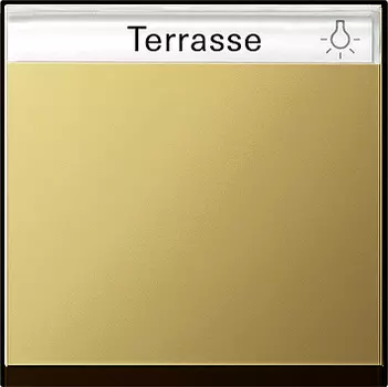 0299604 Одинарная клавиша с полем для надписи Латунь Gira