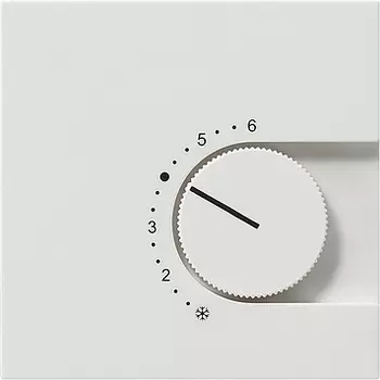 0391112 Терморегулятор с размыкающим контактом 24V/10 (4)A Белый Gira F100