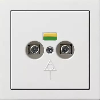 0405112 Коробка выравнивания потенциалов со штепсельным штифтом DIN 42801, двойная Белый Gira F100