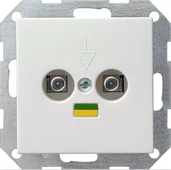 040527 Коробка выравнивания потенциалов со штепсельным штифтом DIN 42801, двойная белый матовый Белый Gira