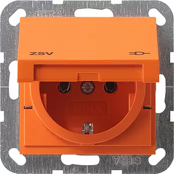 041602 Розетка c заземляющими контактами, крышкой и надписью ZSV Оранжевый Gira