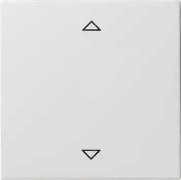 054527 Радионакладка системы управления жалюзи с возможностью подключения датчиков белый матовый Белый Gira