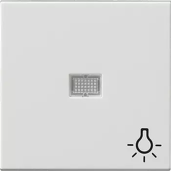 063003 Клавиша с больш окном пикт-мой Свет белый глянец Белый Gira