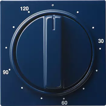 064246 Накладка таймера 120 мин Синий Gira S-color