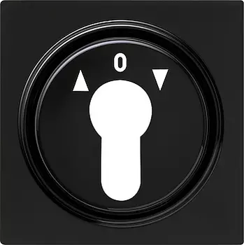 066447 Накладка выключателя с ключом для жалюзи Черный Gira S-color