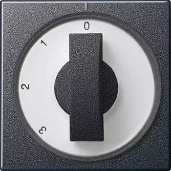 066928 Накладка с ручкой для трехступенчатого переключателя Антрацит Gira