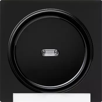 067047 Одинарная клавиша с подсветкой и полем для надписи Черный Gira S-color