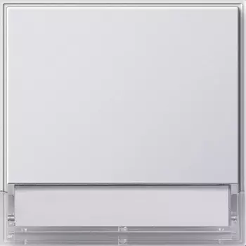 067666 Клавиша с полем для надписи 37*47 мм Белый Gira TX44