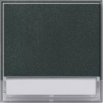 067667 Клавиша с полем для надписи 37*47 мм Антрацит Gira TX44