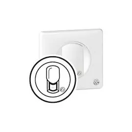 067746 Celiane Лицевая панель розетка RJ-45 А/Б Legrand