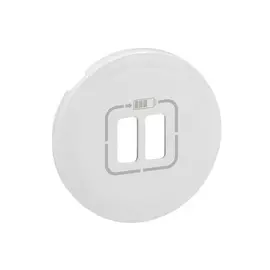 068256 Cel Панель лиц USB розетка бел Legrand