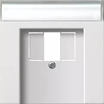 0876112 Накладка телефонной розетки TAE+Стерео+USB с полем для надписи Белый Gira F100