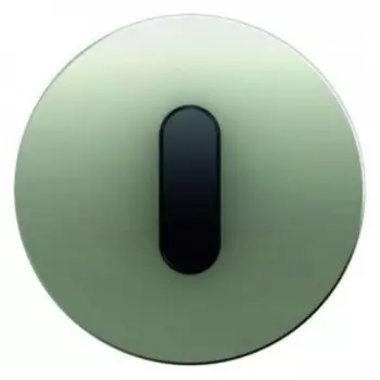 10012004 Накладка с ручкой для поворотных переключателей, R.1, нержавеющая сталь цвет: черный Berker