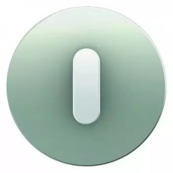 10012074 Накладка с ручкой для поворотных переключателей, R.1, алюминий цвет: полярная белизна Berker
