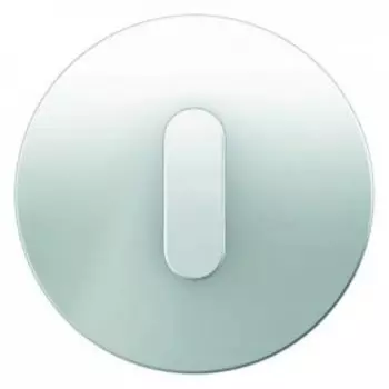 10012083 Накладка с ручкой для поворотных переключателей, R.1, стекло цвет: полярная белизна Berker